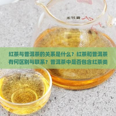 红茶与普洱茶的关系是什么？红茶和普洱茶有何区别与联系？普洱茶中是否包含红茶类别？