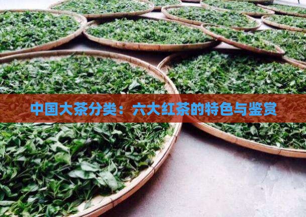 中国大茶分类：六大红茶的特色与鉴赏
