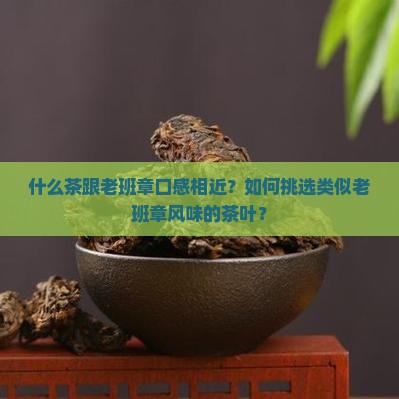 什么茶跟老班章口感相近？如何挑选类似老班章风味的茶叶？