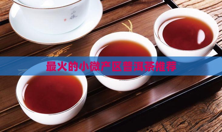 最火的小微产区普洱茶推荐