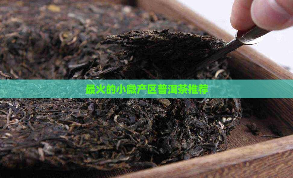 最火的小微产区普洱茶推荐