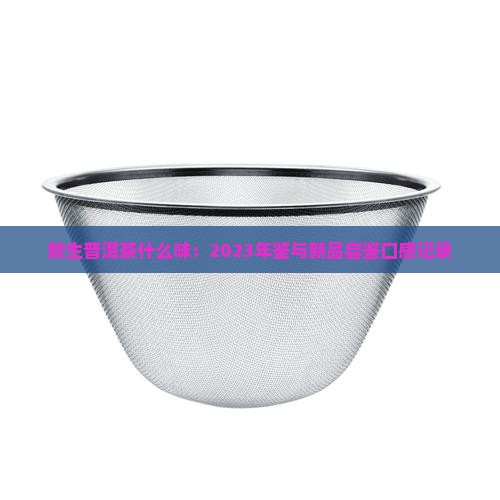 新生普洱茶什么味：2023年鉴与新品尝鉴口感记录