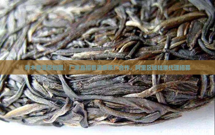 乔木普洱茶加盟，厂家直招普洱茶茶厂合作，阿里区域独家代理招募