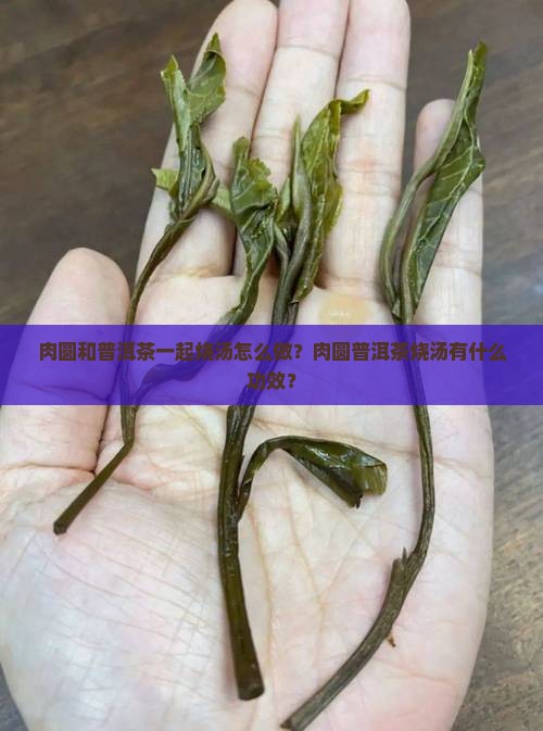 肉圆和普洱茶一起烧汤怎么做？肉圆普洱茶烧汤有什么功效？