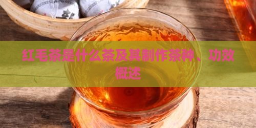 红毛茶是什么茶及其制作茶种、功效概述