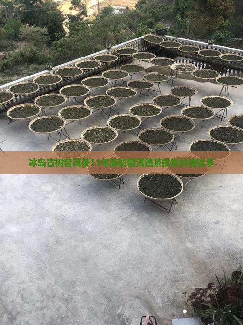 冰岛古树普洱茶11年陈韵普洱熟茶批发价格优享