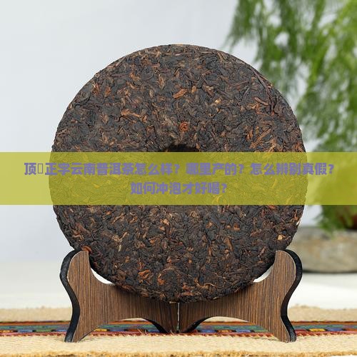 顶舊正字云南普洱茶怎么样？哪里产的？怎么辨别真假？如何冲泡才好喝？