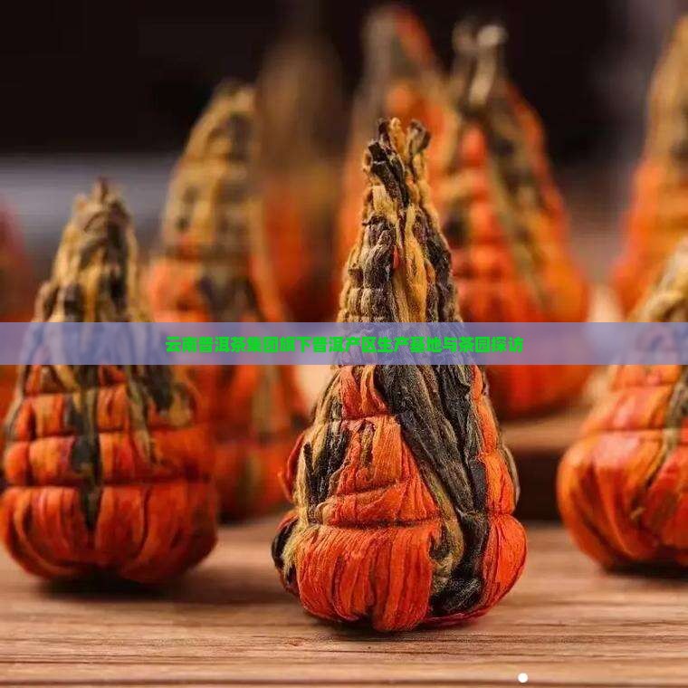 云南普洱茶集团旗下普洱产区生产基地与茶园探访
