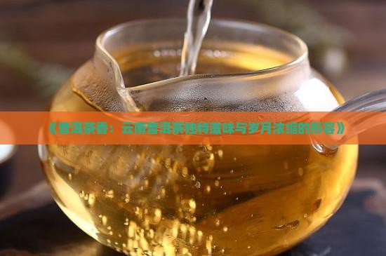 《普洱茶香：云南普洱茶独特滋味与岁月浓缩的形容》