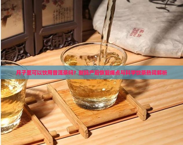 月子里可以饮用普洱茶吗？新妈产后恢复痛点与科学饮茶热词解析