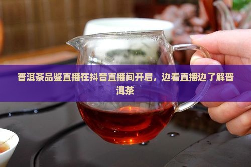 普洱茶品鉴直播在抖音直播间开启，边看直播边了解普洱茶