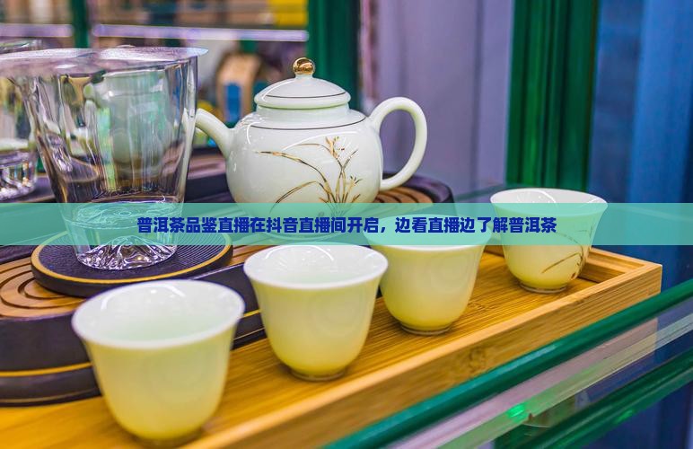 普洱茶品鉴直播在抖音直播间开启，边看直播边了解普洱茶