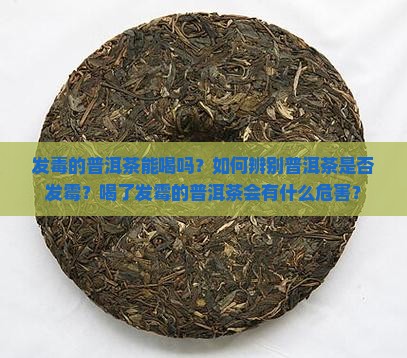 发毒的普洱茶能喝吗？如何辨别普洱茶是否发霉？喝了发霉的普洱茶会有什么危害？