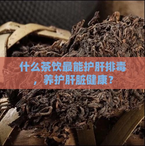什么茶饮最能护肝排毒，养护肝脏健康？