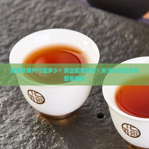 普洱茶展歼寸是多少？茶企困局如何？关注私域流量与智能展架