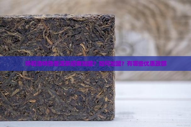 呼和浩特熟普洱茶招商加盟？如何加盟？有哪些优惠政部