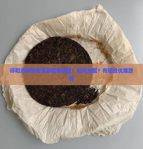 呼和浩特熟普洱茶招商加盟？如何加盟？有哪些优惠政部
