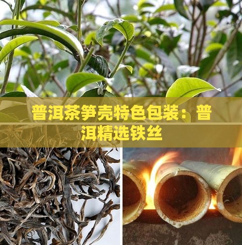 普洱茶笋壳特色包装：普洱精选铁丝