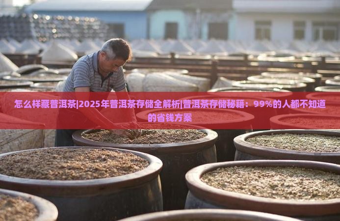怎么样藏普洱茶