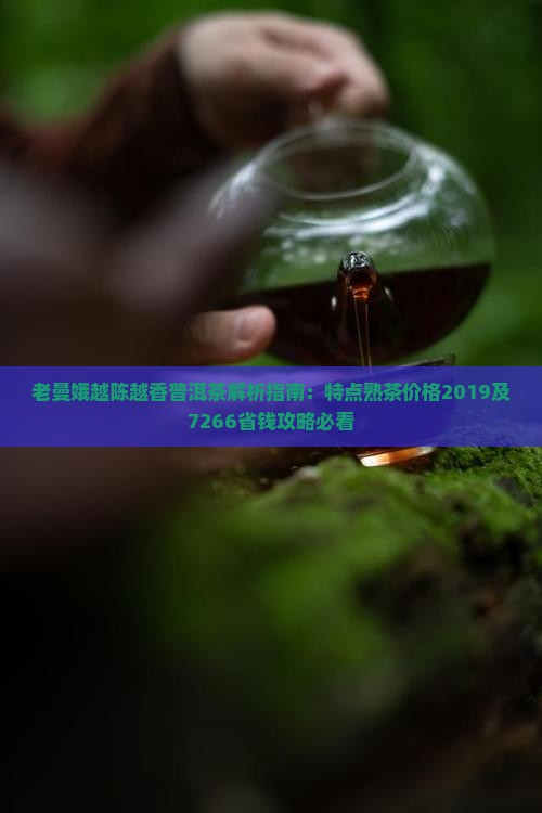 老曼娥越陈越香普洱茶