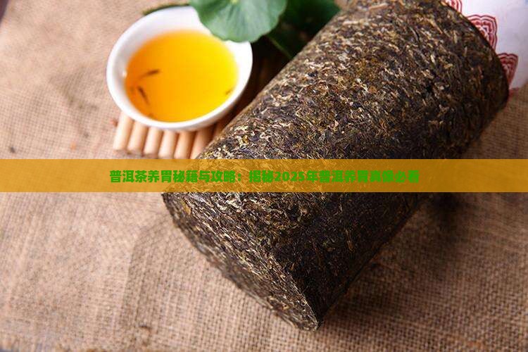 普洱茶哪个养胃效果好