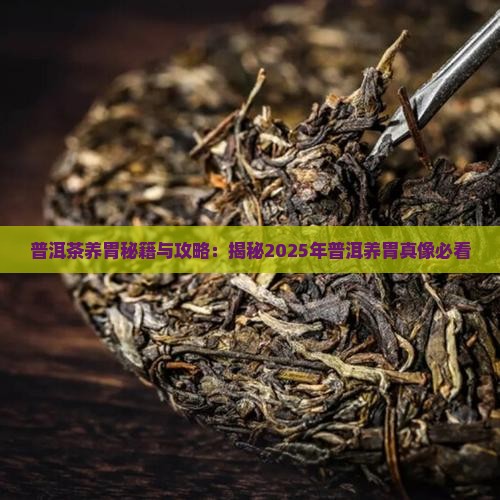普洱茶哪个养胃效果好