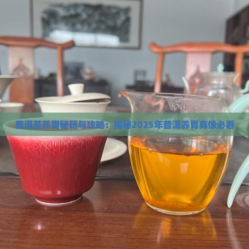 普洱茶哪个养胃效果好