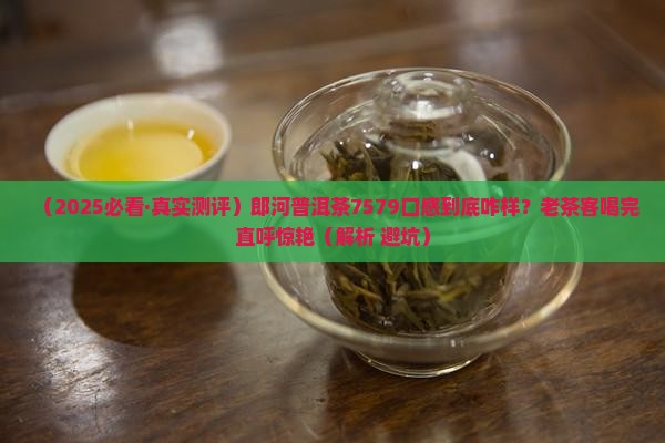 郎河普洱茶7579怎么样