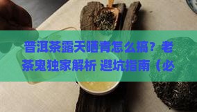 普洱茶露天晒青