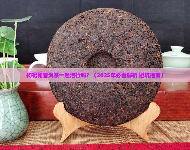 枸杞和普洱茶一起泡行吗