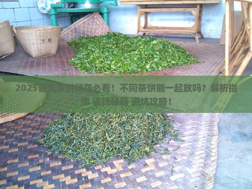 不同的普洱茶饼能一起储存吗