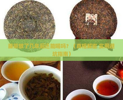 藤茶放几年后能不能喝了