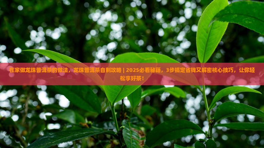在家做龙珠普洱茶的做法