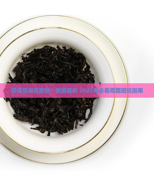 普洱茶发霉致癌是真的吗 普洱茶发霉致癌是真的吗