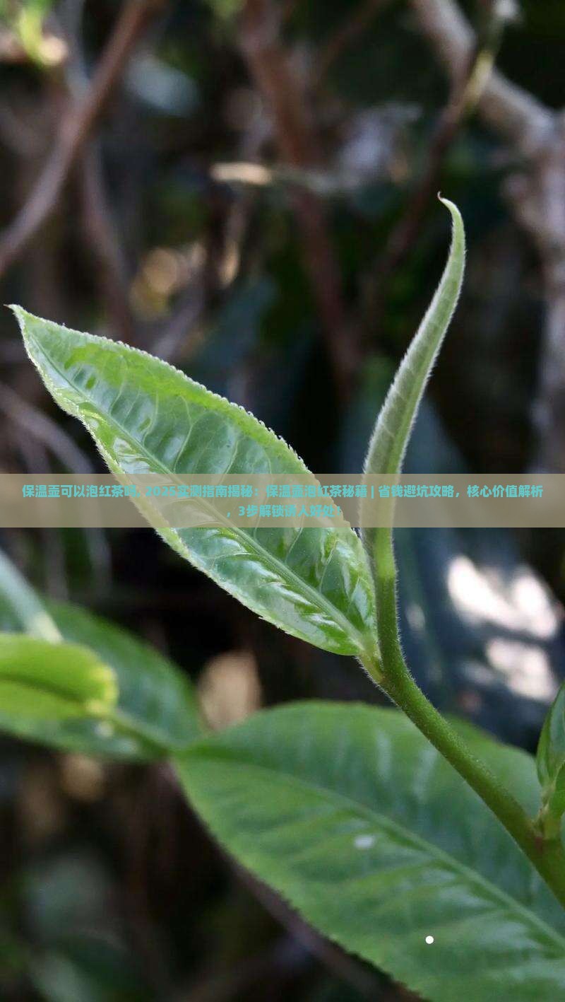 保温壶可以泡红茶吗