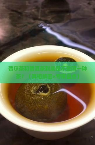普尔茶和普洱茶的区别是什么