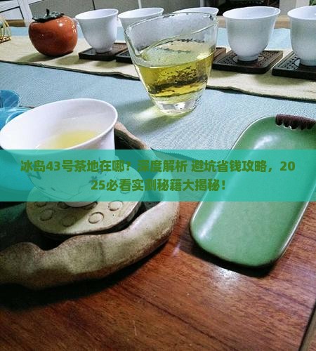 冰岛43号茶地在哪