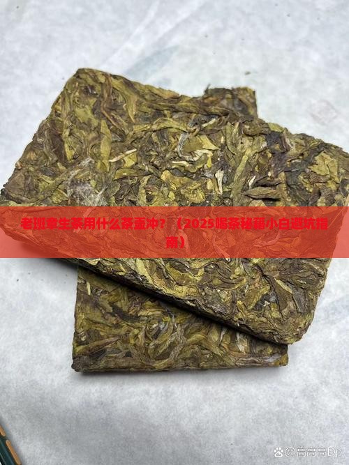 老班章生茶用什么茶壶冲