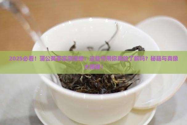 蒲公英茶的有什么作用