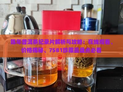 陈年普洱茶纪录片