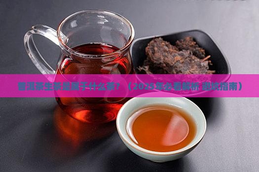 普洱茶生茶是属于什么茶