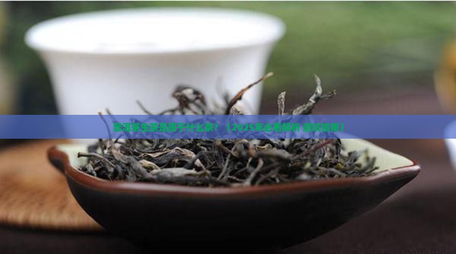 普洱茶生茶是属于什么茶