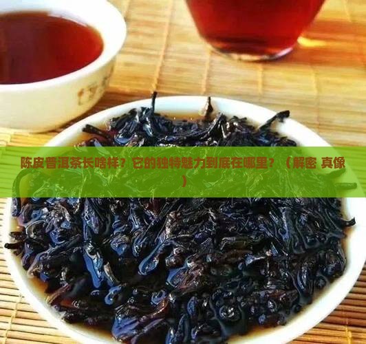 陈皮普洱茶的外形和特色
