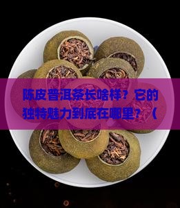 陈皮普洱茶的外形和特色