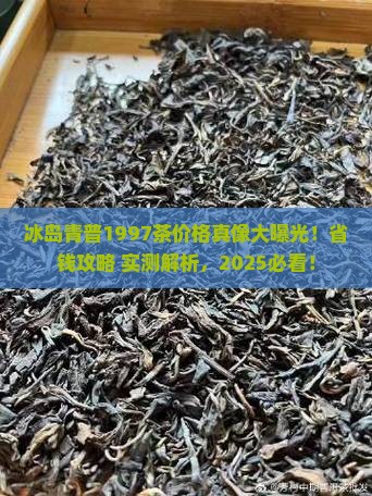 冰岛青普1997茶价格表
