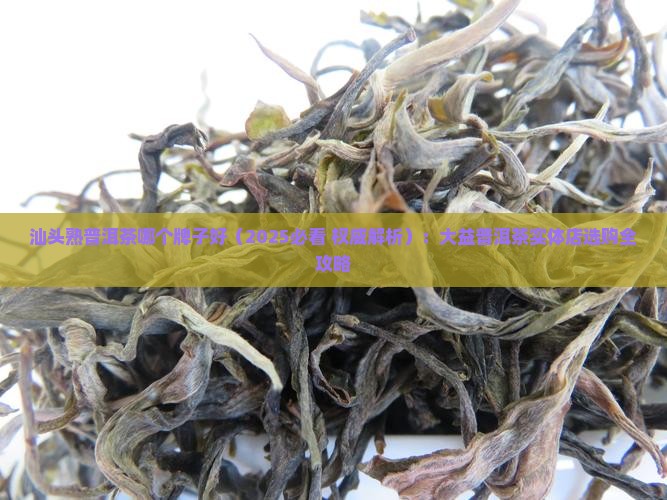 汕头熟普洱茶哪个牌子好