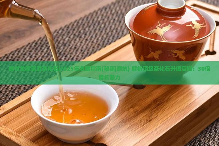 盛世龙园普洱茶化石