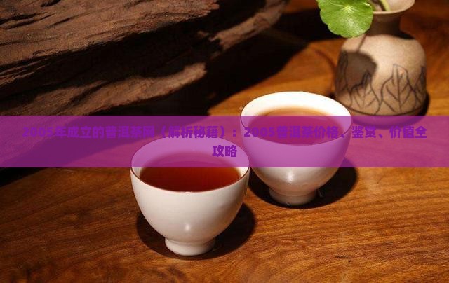 2005年成立的普洱茶网