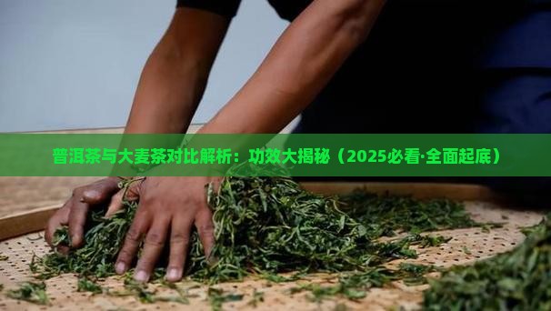普洱茶与大麦茶的区别