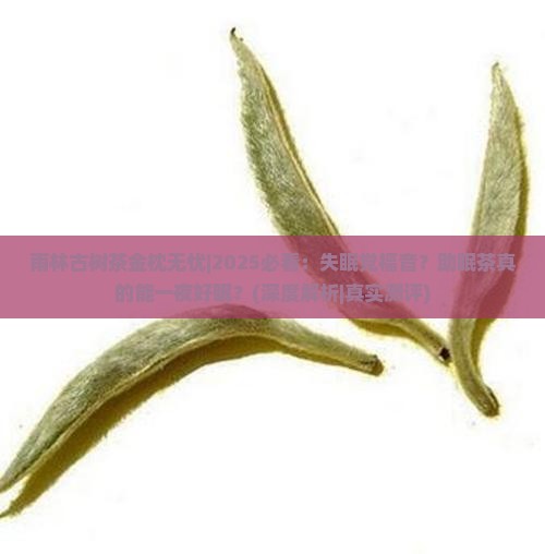 雨林古树茶金枕无忧